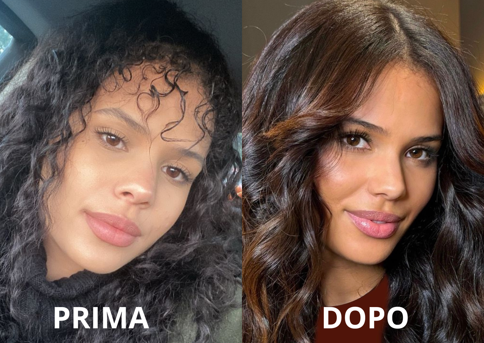 PRIMA.zip - 5